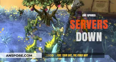 Are Spores Servers Down? Troubleshooting Tips and Status Updates