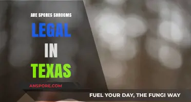 Are Spores and Magic Mushrooms Legal in Texas? Explained