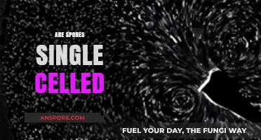 Are Spores Single-Celled? Unveiling the Microscopic Truth