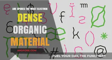 Are Spores the Most Electron-Dense Organic Material? Exploring Their Density