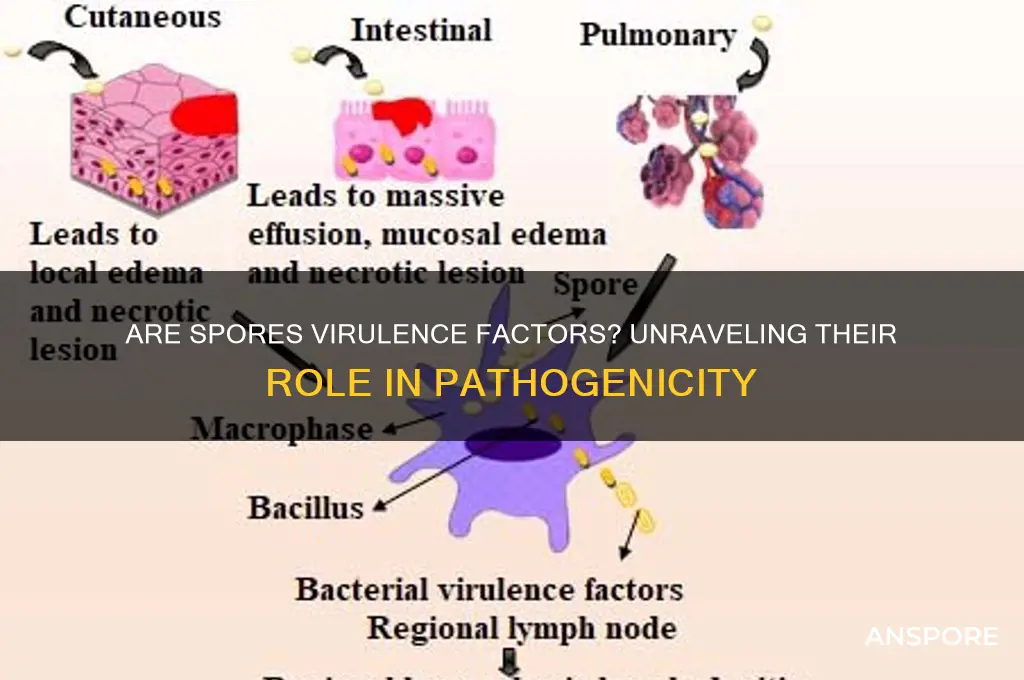 are spores virulence factors