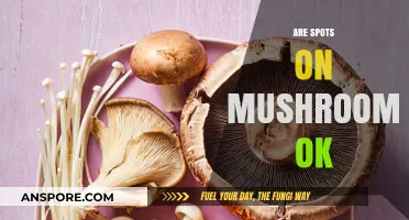 Mushroom Spots: Safe or Unsafe?