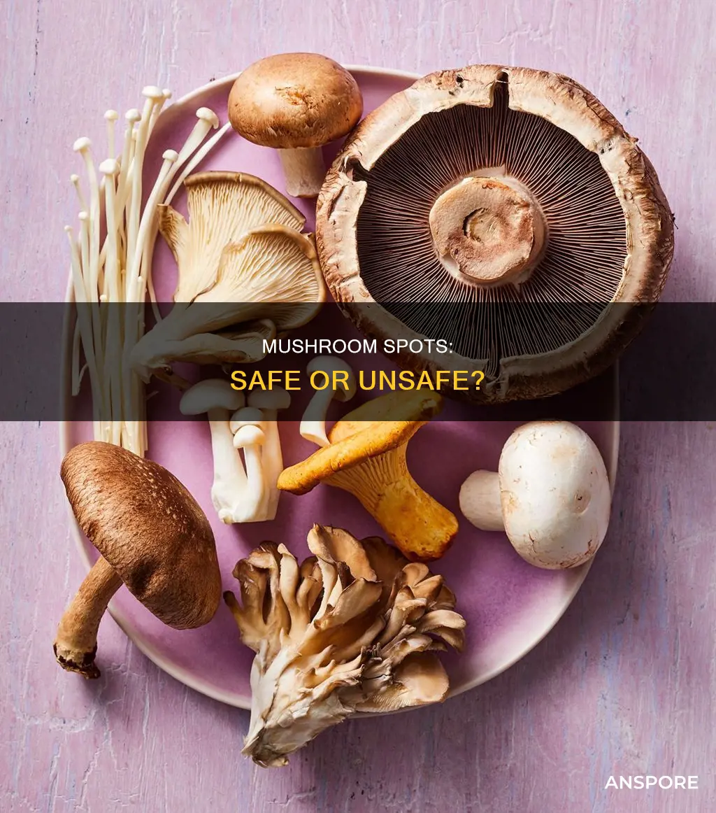 are spots on mushrooms ok