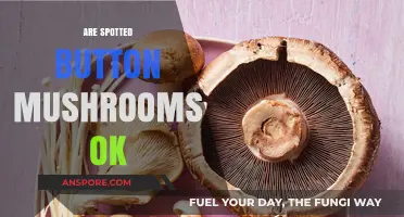 Spotted Mushrooms: Safe or Not?
