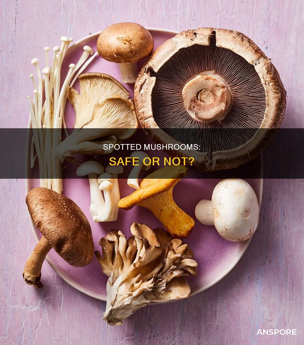 are spotted button mushrooms ok