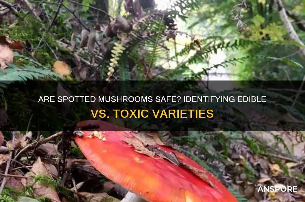 are spotted mushrooms bad