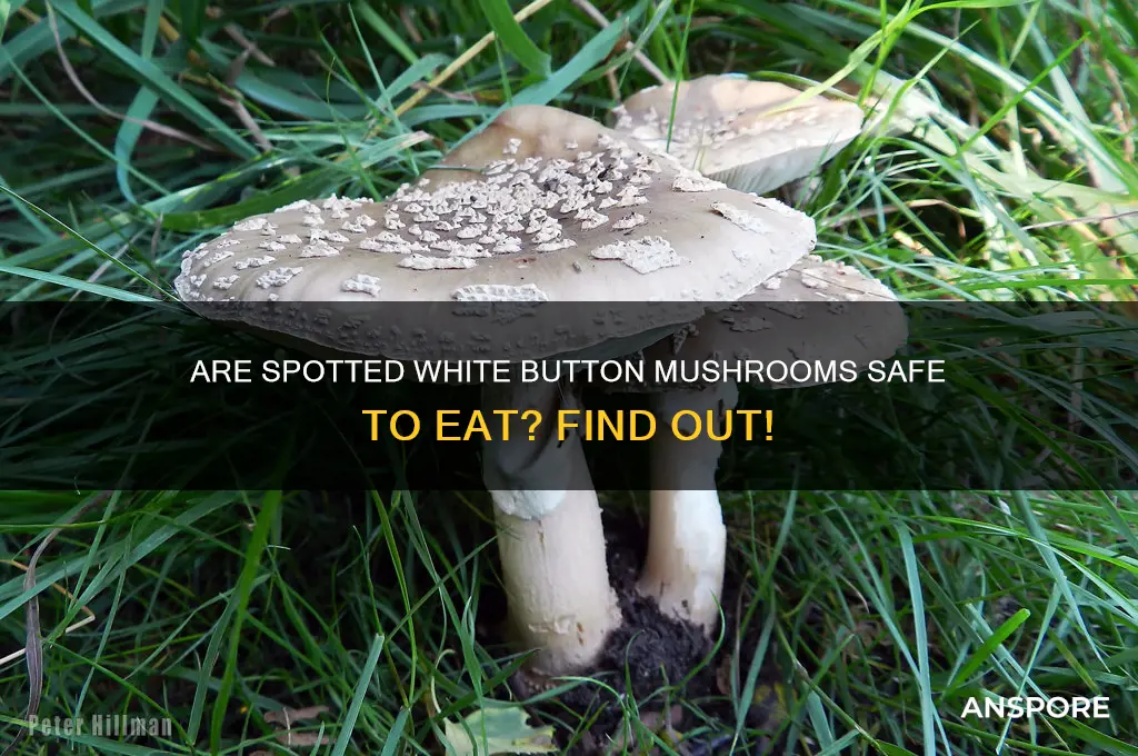 are spotted white button mushrooms okay t eat