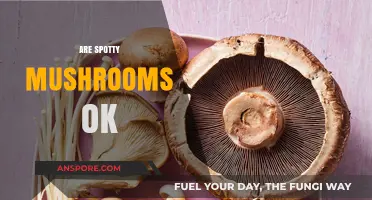 Edible or Not: Spotty Mushrooms, Safe to Eat?