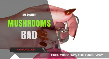 Squishy Mushrooms: Are They Safe to Eat or Harmful?