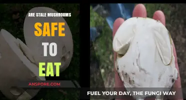 Stale Mushrooms: Are They Safe to Eat or a Health Risk?