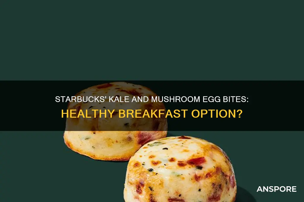 are starbucks kale and mushroom egg bites healthy