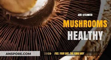 Mushrooms: Healthy Superfood or Just a Fad?