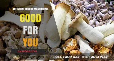 Store-Bought Mushrooms: Nutritional Benefits and Health Impacts Explained