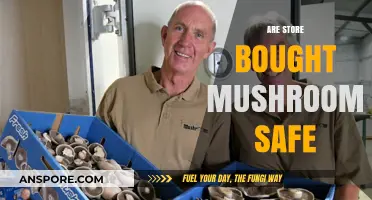 Are Store-Bought Mushrooms Safe to Eat?