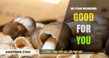 Straw Mushrooms: Nutritional Benefits and Health Advantages Explained