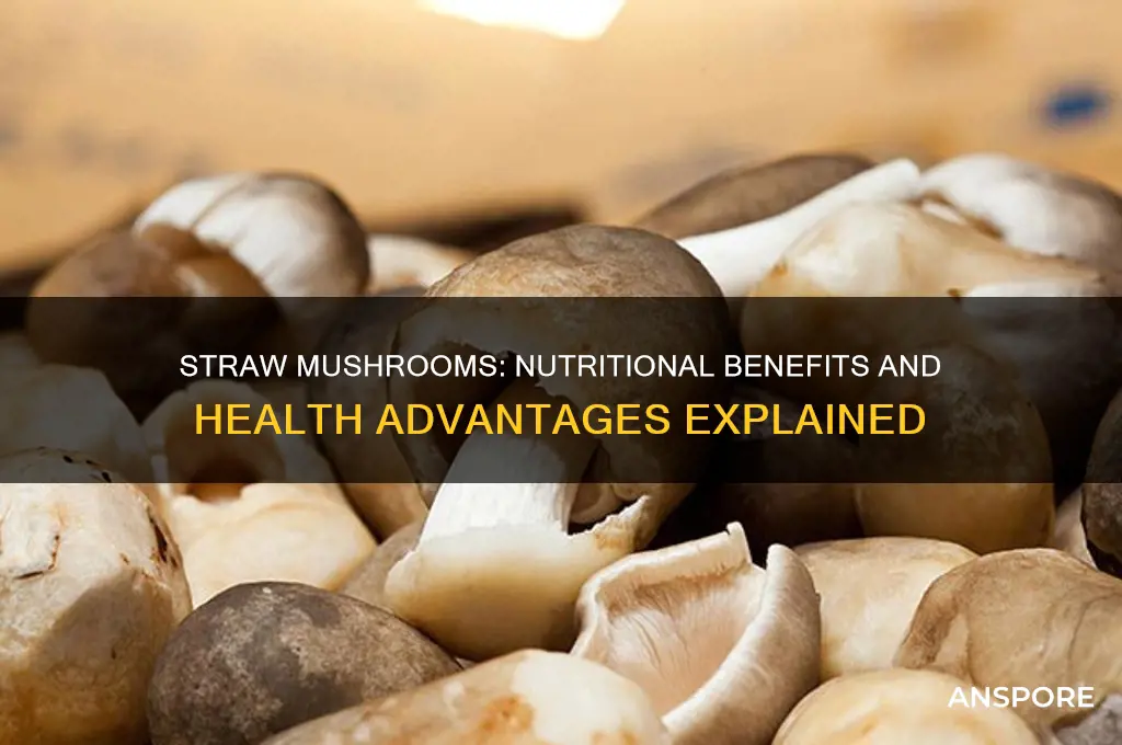 are straw mushrooms good for you