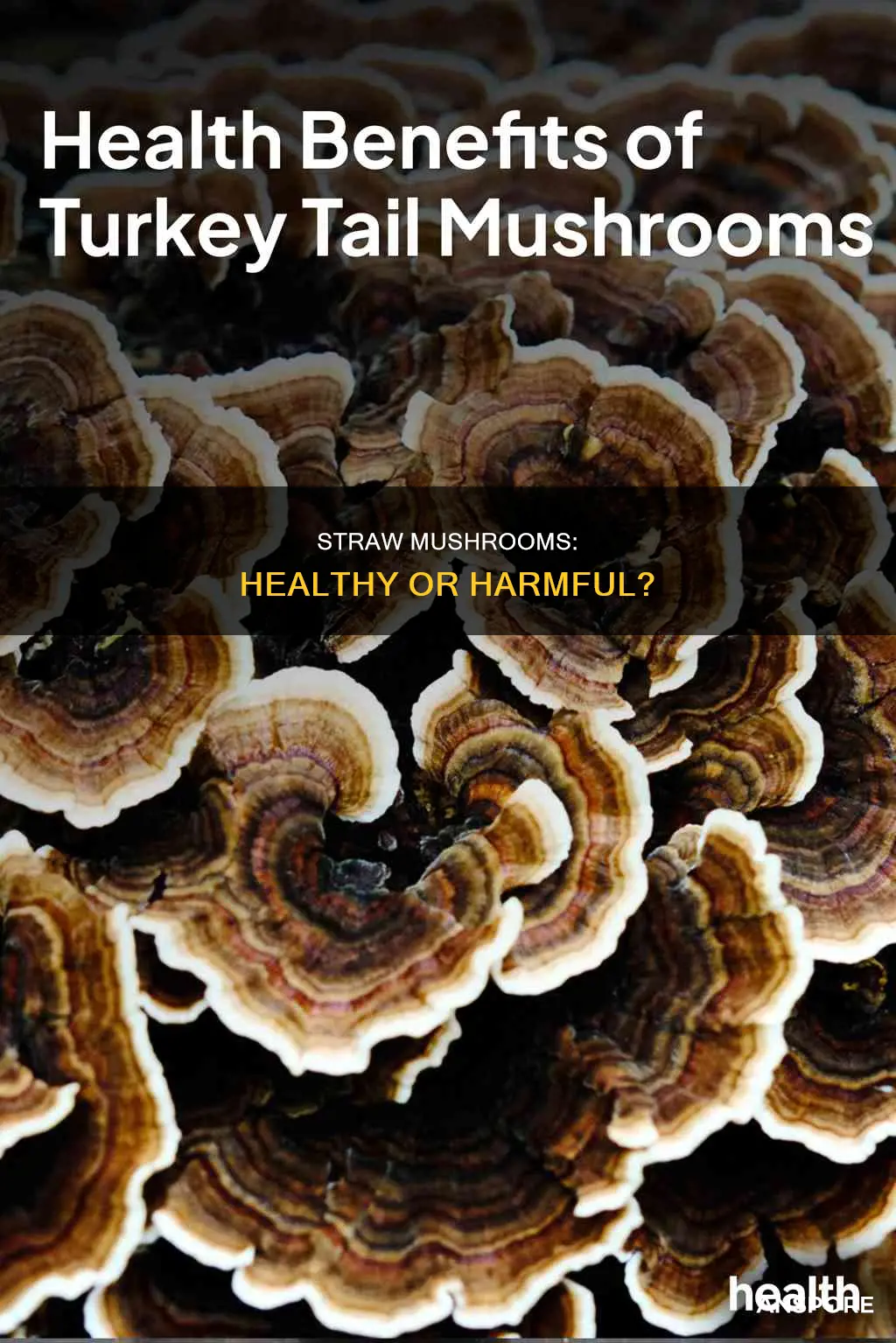 are straw mushrooms healthy
