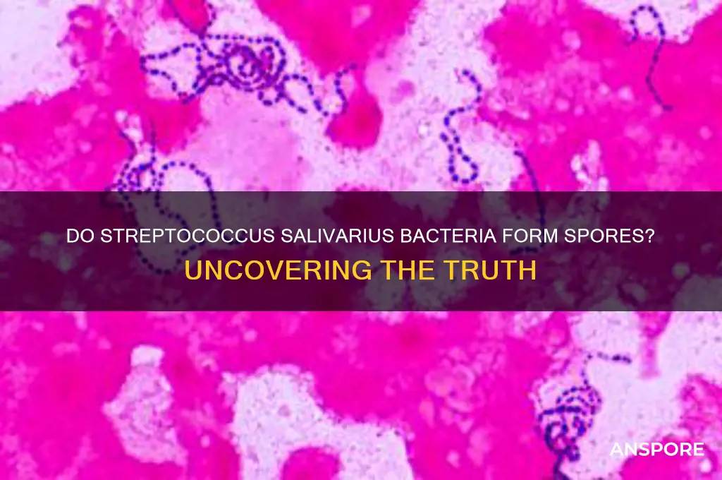 are streptococcus salivarius form spores