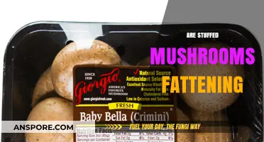 Mushroom Magic: Are Stuffed Mushrooms Fattening?