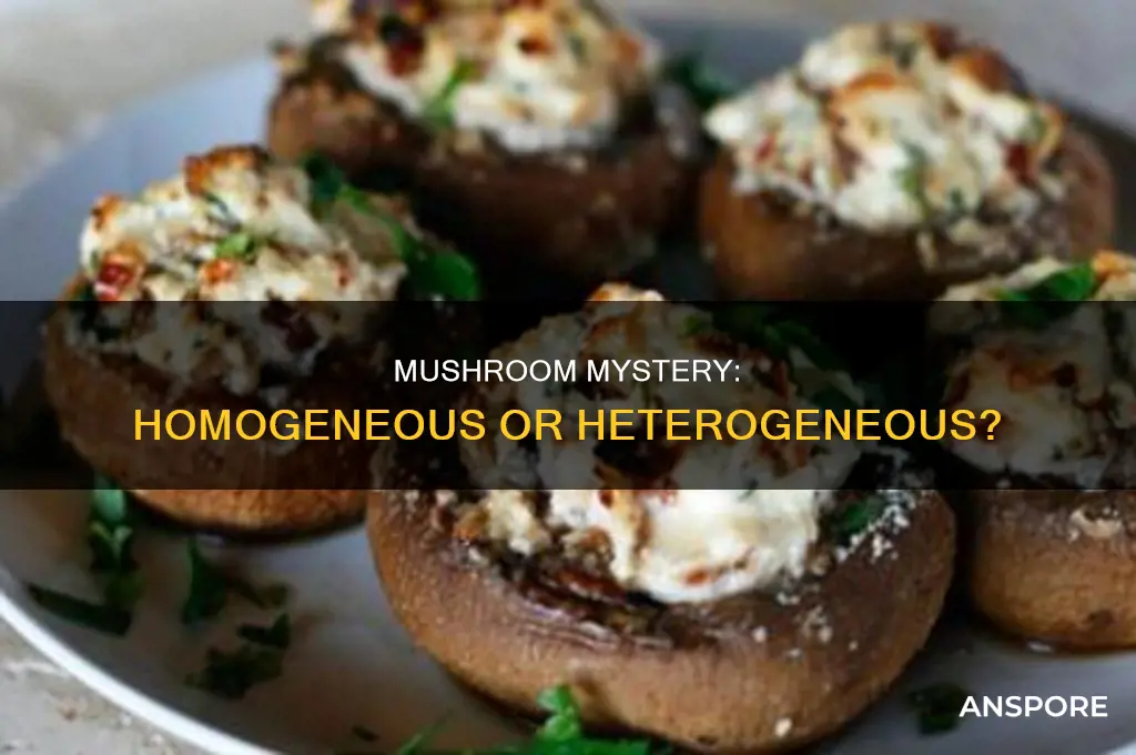 are stuffed mushrooms homogeneous or heterogeneous