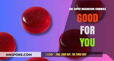 Super Mushroom Gummies: Health Benefits or Just a Tasty Trend?