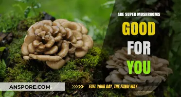 Super Mushrooms: Unlocking Health Benefits and Nutritional Power for You