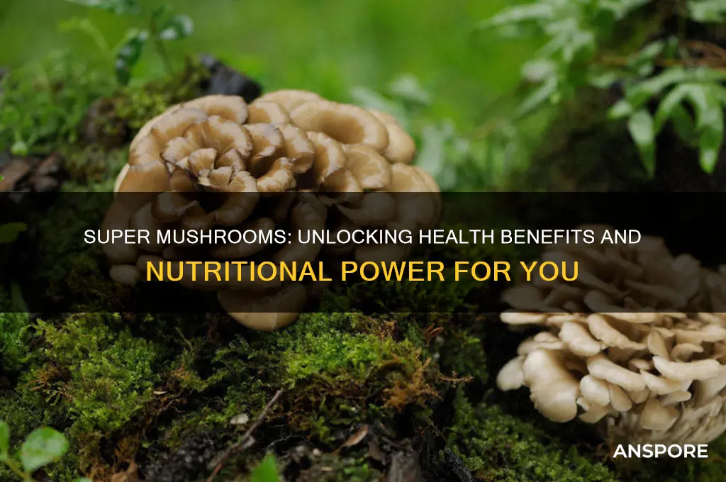 are super mushrooms good for you