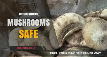Mushroom Mystery: Are Supermarket Mushrooms Safe?