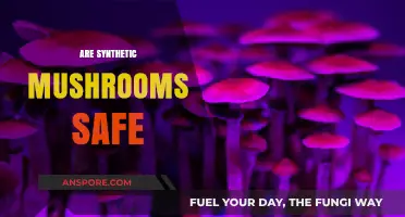 Synthetic Mushrooms: Are They Safe to Consume?