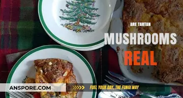 Tartan Mushrooms: Fact or Fiction?
