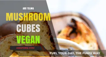 Telma Mushroom Cubes: Are They Vegan-Friendly?
