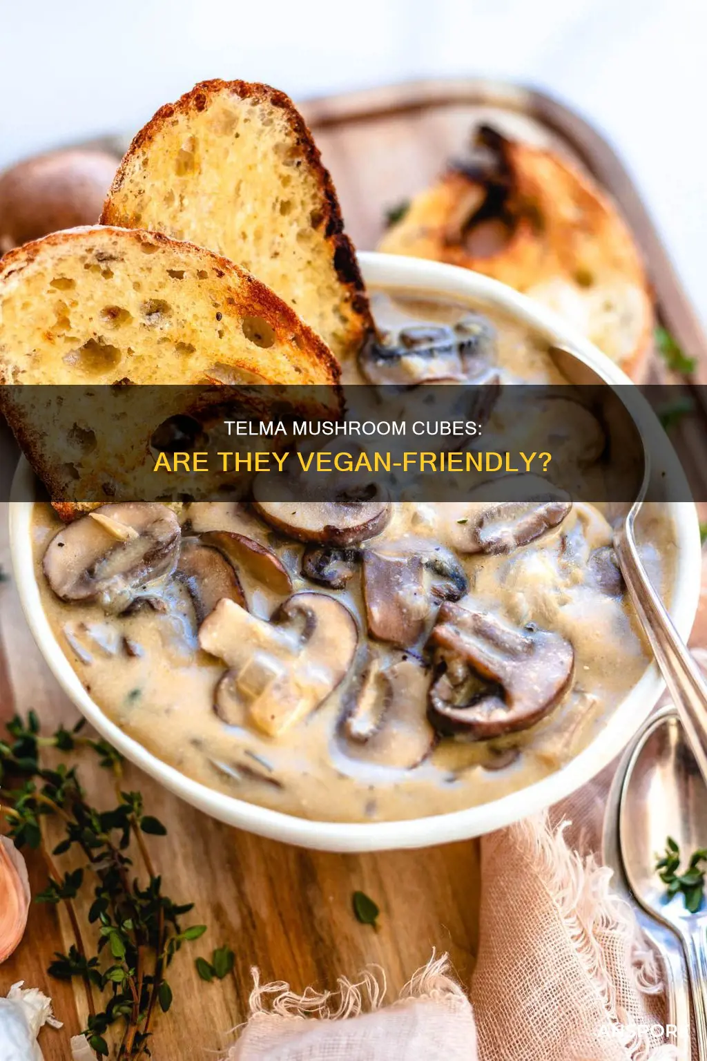 are telma mushroom cubes vegan