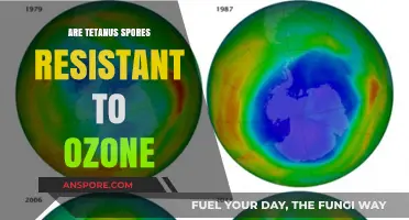 Tetanus Spores and Ozone Resistance: Uncovering the Truth