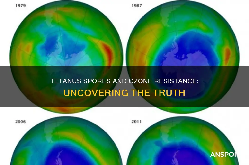 are tetanus spores resistant to ozone