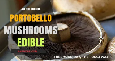 Can You Eat Portobello Mushroom Gills? A Culinary Guide