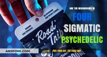 Mushroom Magic: Four Sigmatic's Psychedelic Experience?