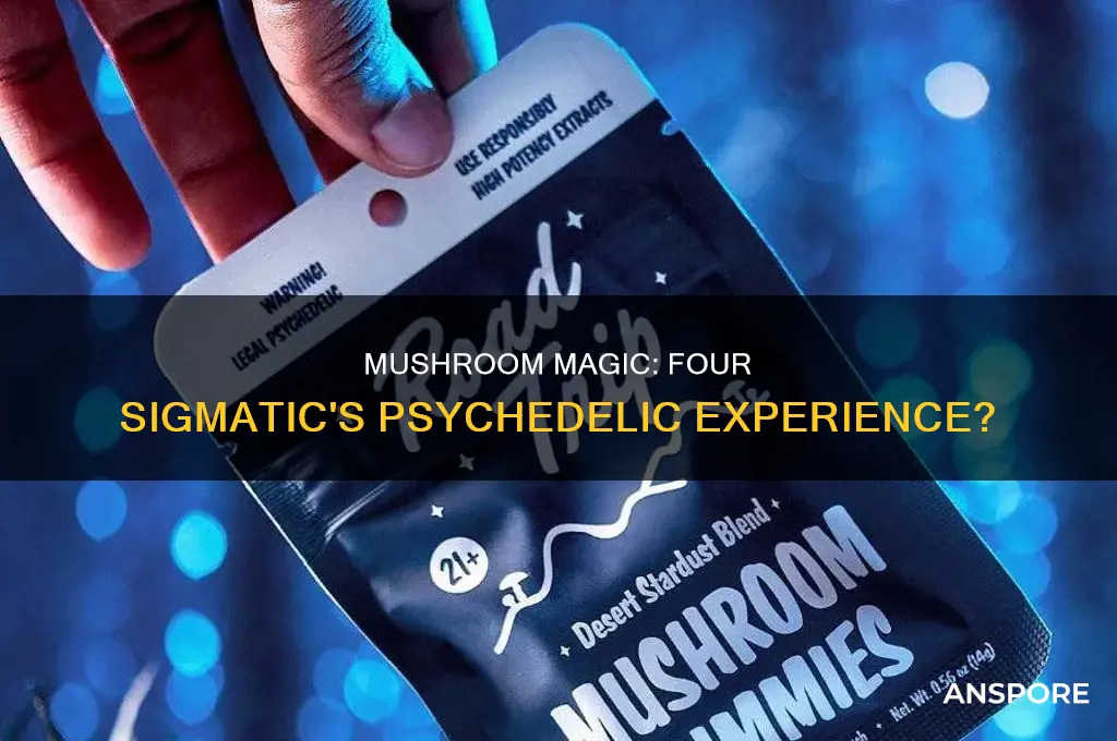 are the mushrooms in four sigmatic psychedelic