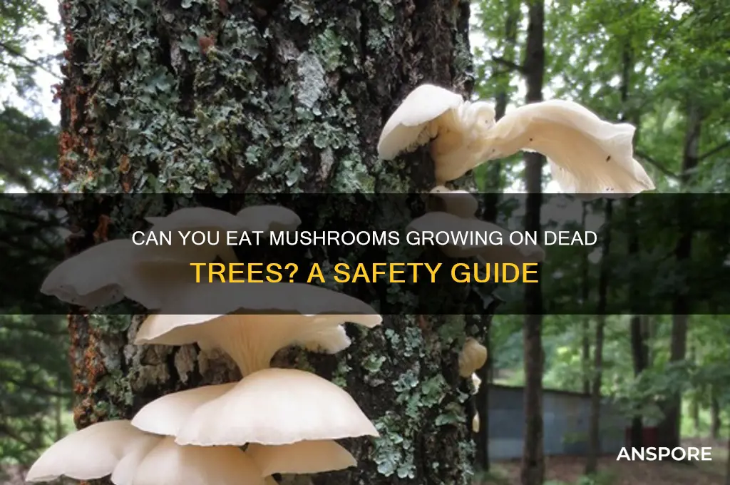 are the mushrooms in my dead tree edible