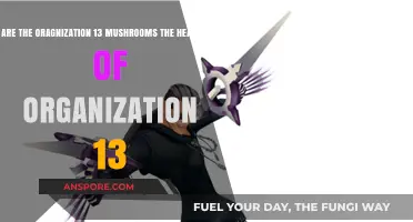 Unveiling the Heartless: Organization XIII's Mushroom Minions