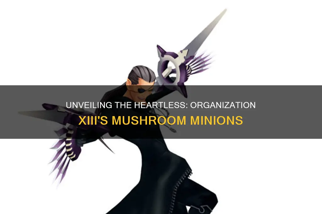 are the oragnization 13 mushrooms the heartless of organization 13
