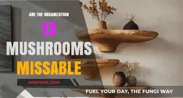 Kingdom Hearts: Can You Miss the Organization 13 Mushrooms?