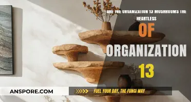 The Organization's Mushroom Heartless: What's the Deal?