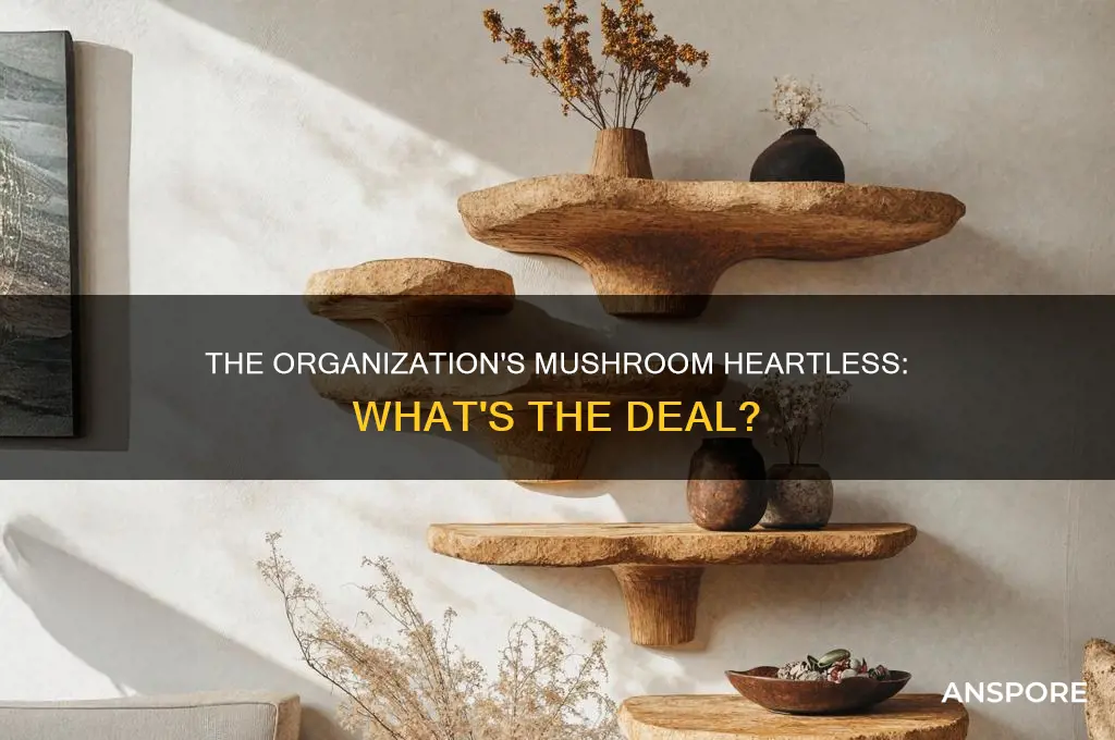 are the organization 13 mushrooms the heartless of organization 13