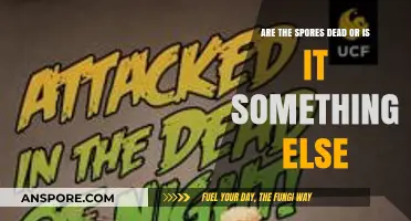 Are Spores Dead or Alive? Unraveling the Mystery of Their State