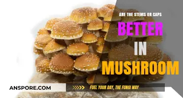 Mushroom Mystery: Stem vs. Cap Nutrition