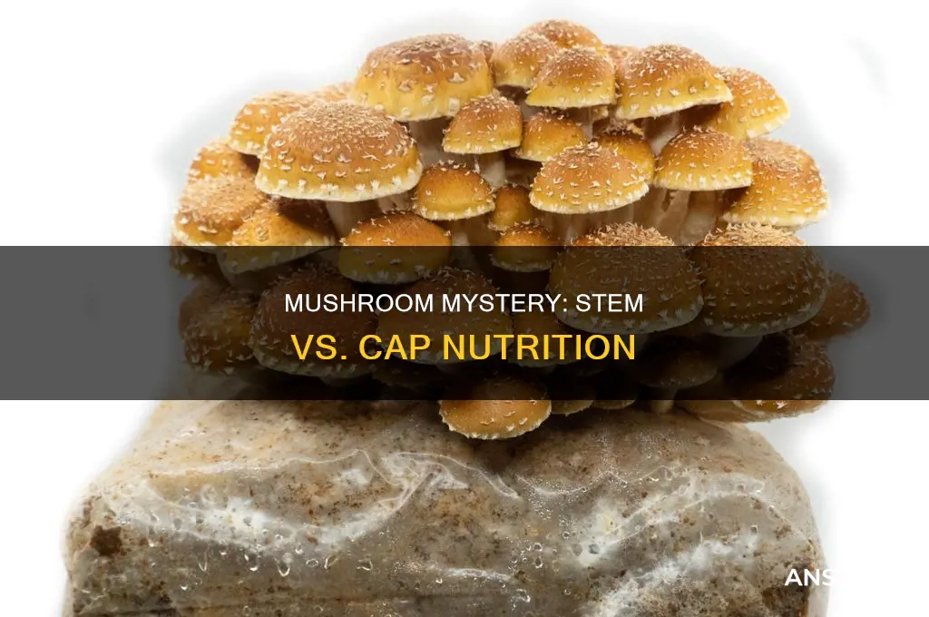 are the stems or caps better in mushrooms