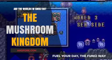 The Mushroom Kingdom: A World Beyond SMB3