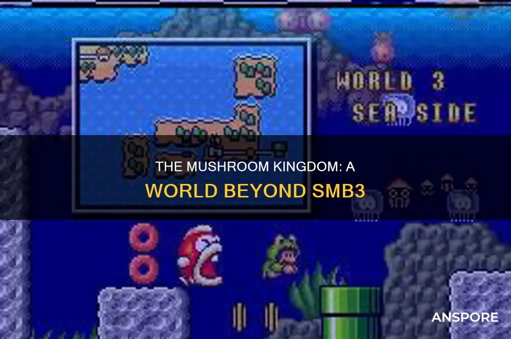 are the worlds in smb3 not the mushroom kingdom