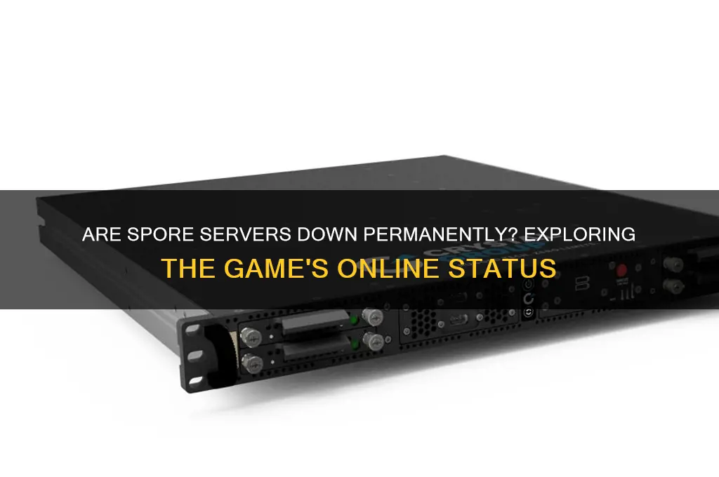 are thee spore seervers down for good