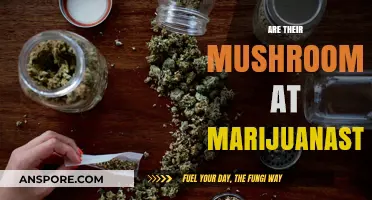 Marijuana Stores: Can You Buy Mushrooms There?